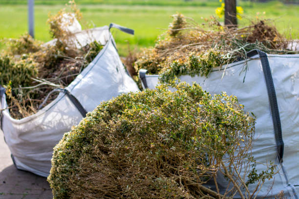 Best Yard Waste Removal  in Bowie, TX